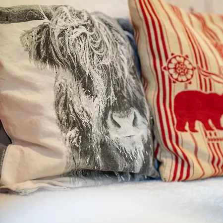 Dents Jaunes シャンペリー