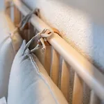 Dents Jaunes Apartamento *